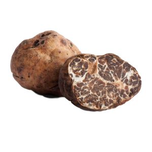 tartufo-bianchetto-scheda-prodotto-fortunati-antonio