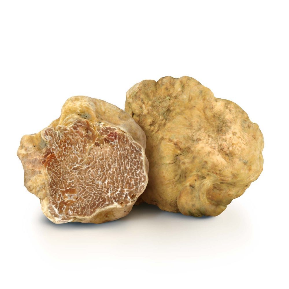 tartufo-bianco-italiano-fresco-online-fortunati tartufo-bianco-italiano-fresco-online-fortunati