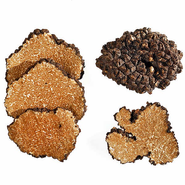 tartufo-nero-estivo-fresco-online tartufo-nero-estivo-fresco-online