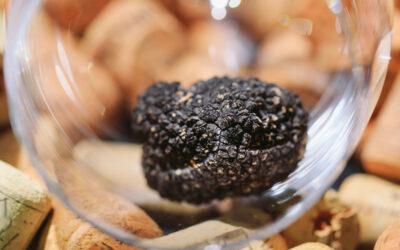 Come conservare il tartufo: istruzioni per l’uso