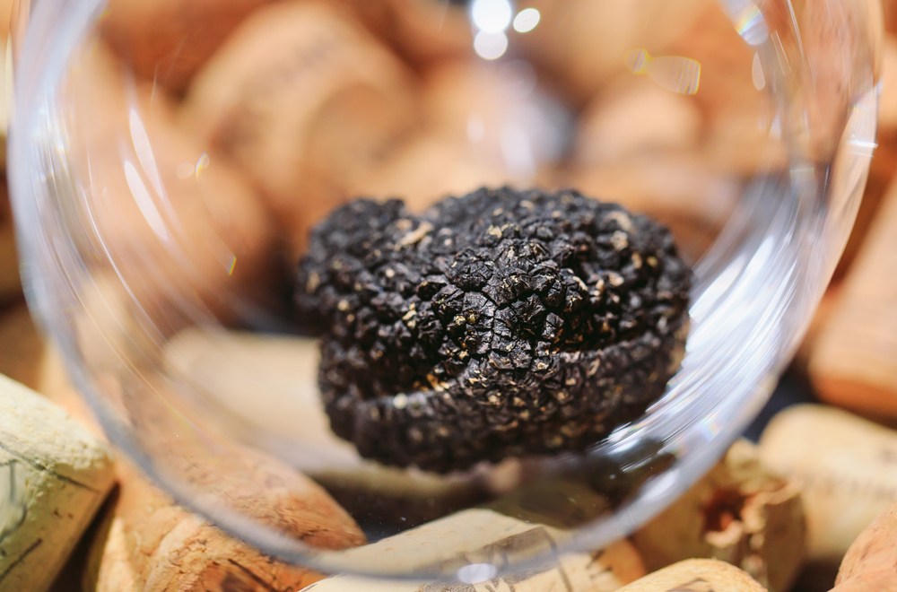 Come conservare il tartufo: istruzioni per l’uso