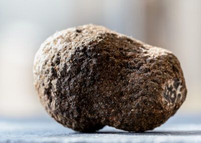 tartufo di norcia