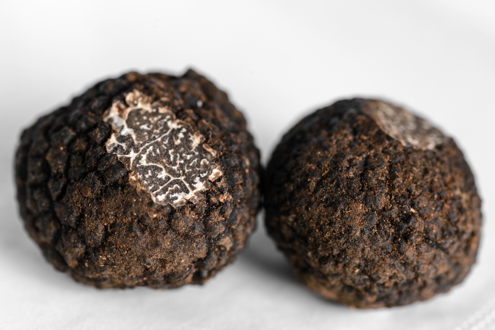 tartufo di norcia caratteristiche