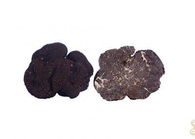 tipi di tartufo