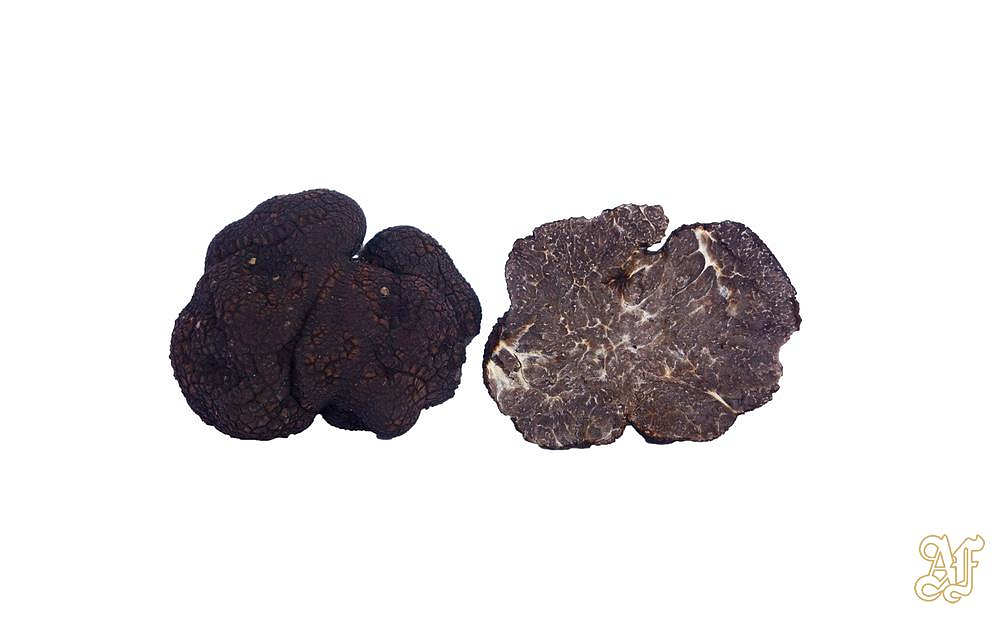 Tipi di Tartufo: Tartufi Commestibili e Non Commestibili