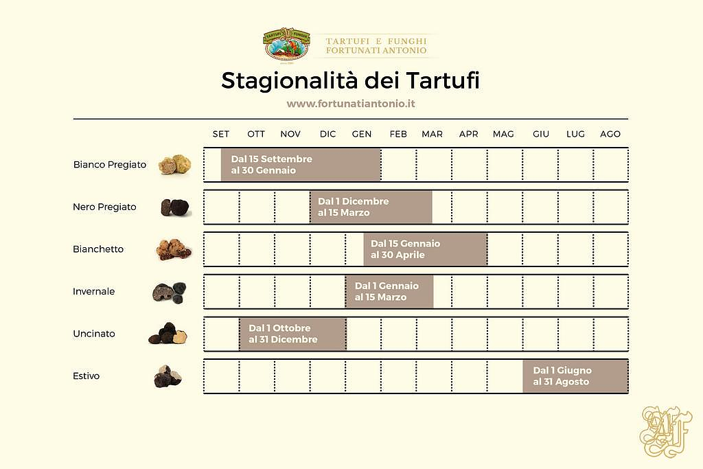 stagionalità tartufi freschi