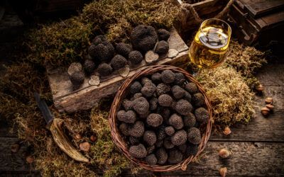 Tartufo Nero: impariamo a conoscerlo!