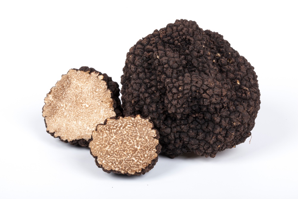 tartufo nero estivo