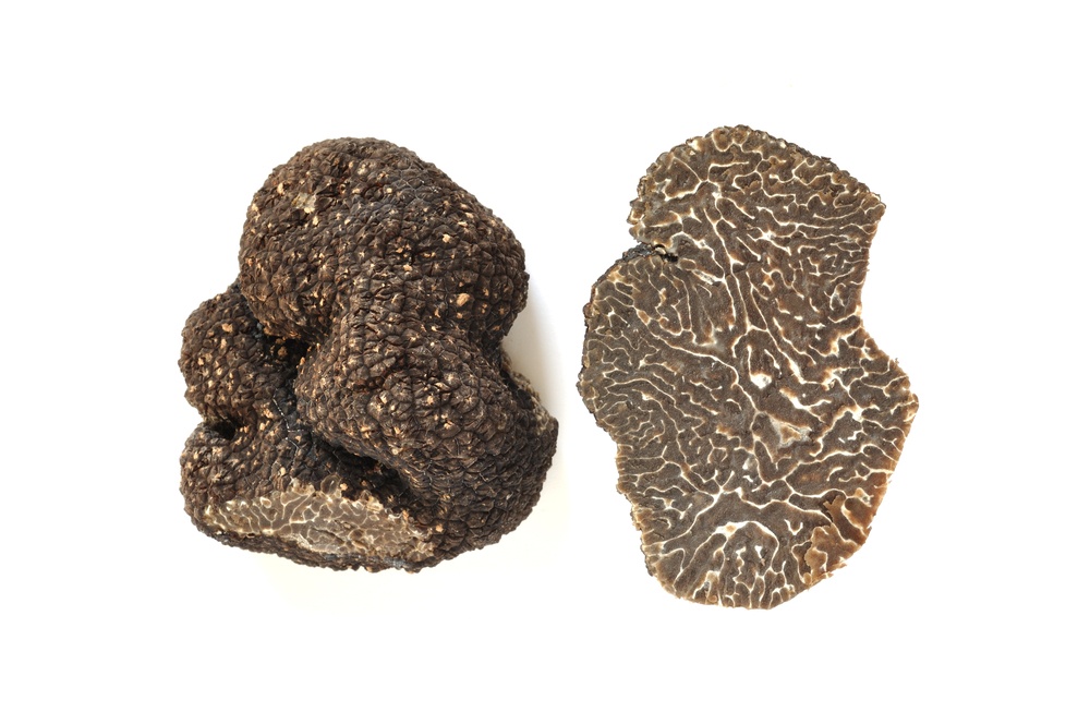 tartufo nero invernale
