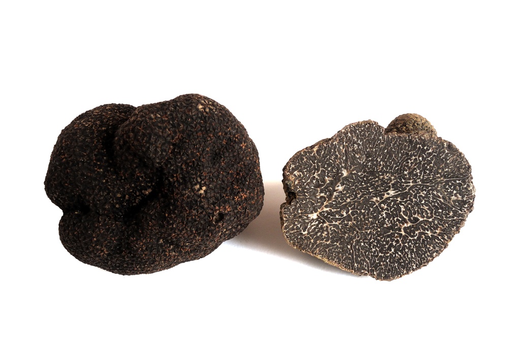 tartufo nero pregiato