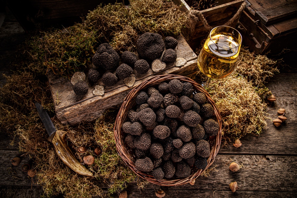 Tartufo Nero: impariamo a conoscerlo!