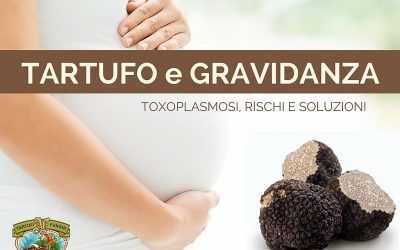 Tartufo e gravidanza: esiste il rischio toxoplasmosi?
