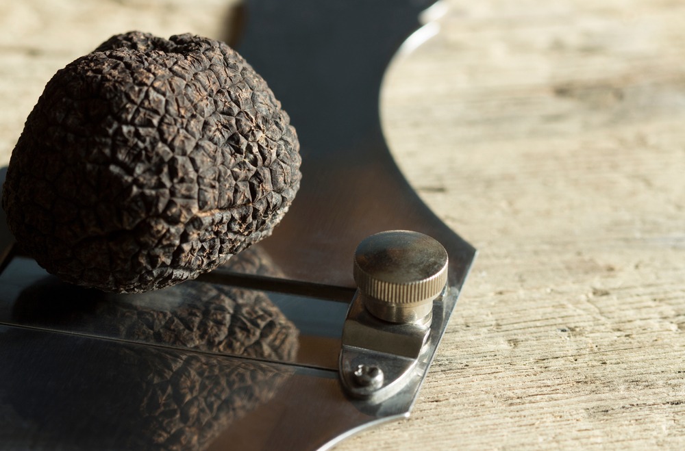 pasta al tartufo consigli