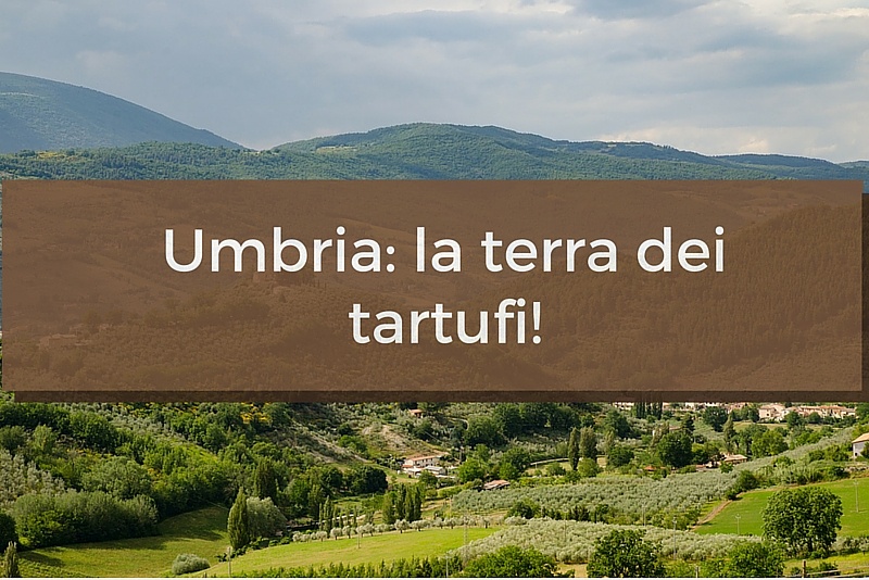 Tartufi in Umbria: varietà, stagioni e prezzi!