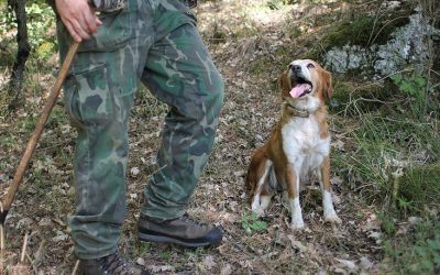 Tartufo Trail: vivi la caccia al tartufo in Umbria!