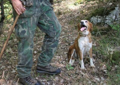 Tartufo Trail