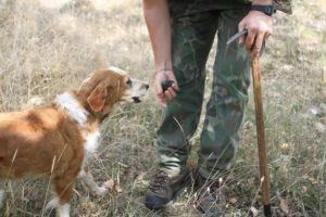 Tartufo Trail informazioni