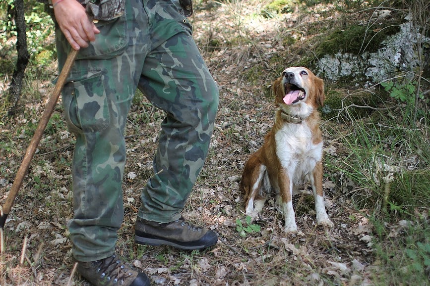 Tartufo Trail: vivi la caccia al tartufo in Umbria!