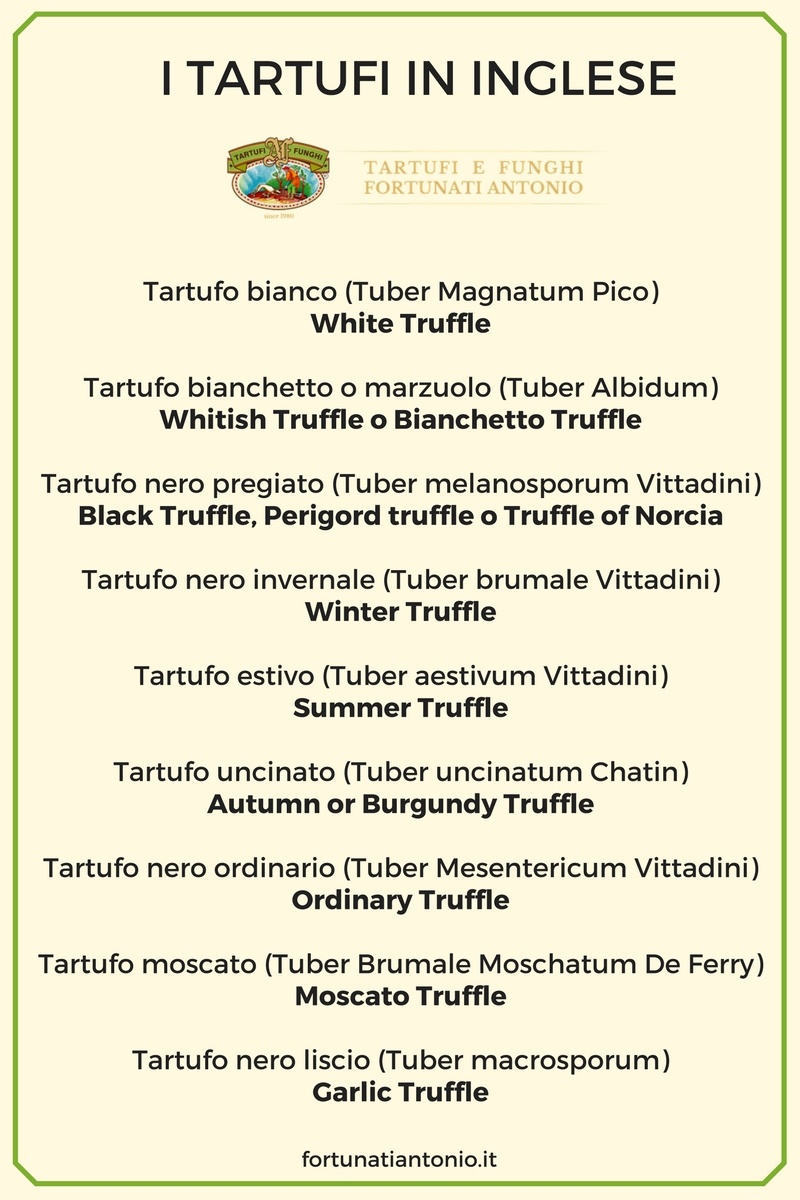tartufi-in-inglese-traduzione