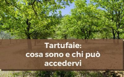 Tartufaie: che cosa sono?