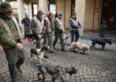 cani da tartufo