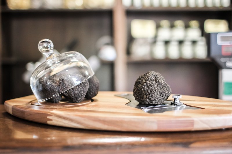 cani-da-tartufo-fortunati-antonio