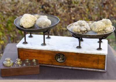 borsa del tartufo