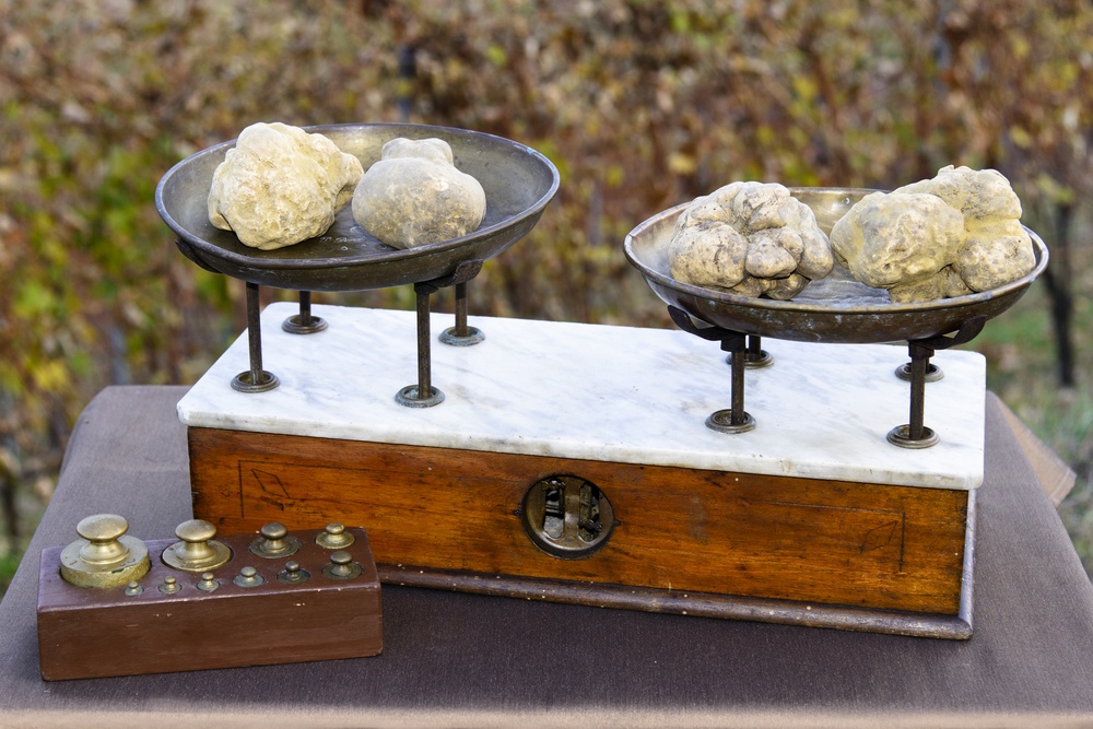 Borsa del Tartufo: come rimanere aggiornati sui prezzi!