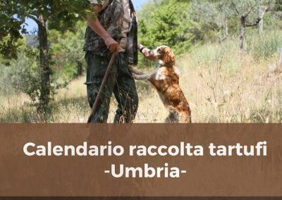 Calendario raccolta tartufi