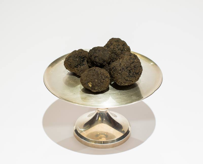 Sagra del tartufo sant agostino informazioni