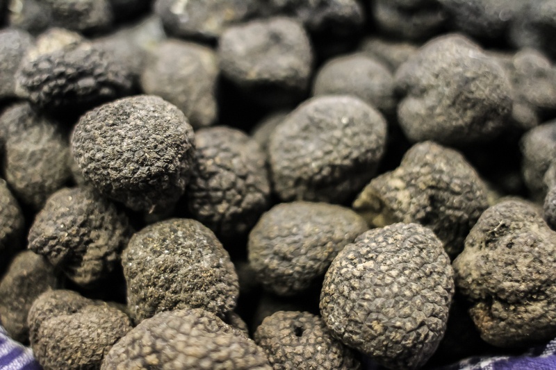 Tartufo surgelato procedimento