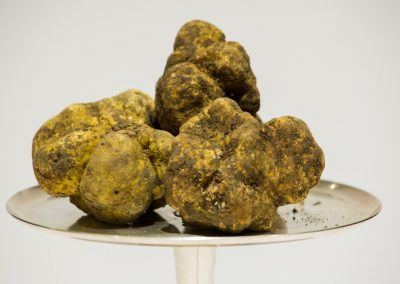 tartufo bianco d alba