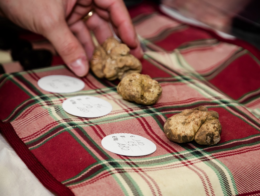 tartufo bianco acqualagna caratteristiche