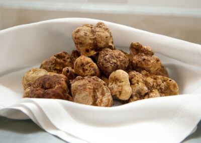 tartufo bianco miniguida