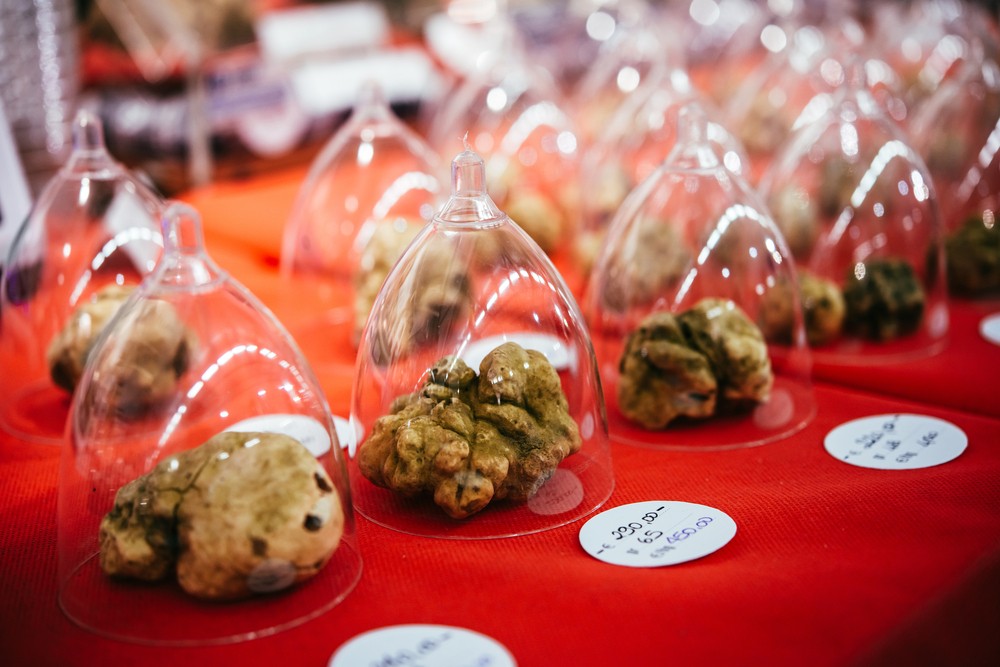 tartufo bianco prezzo