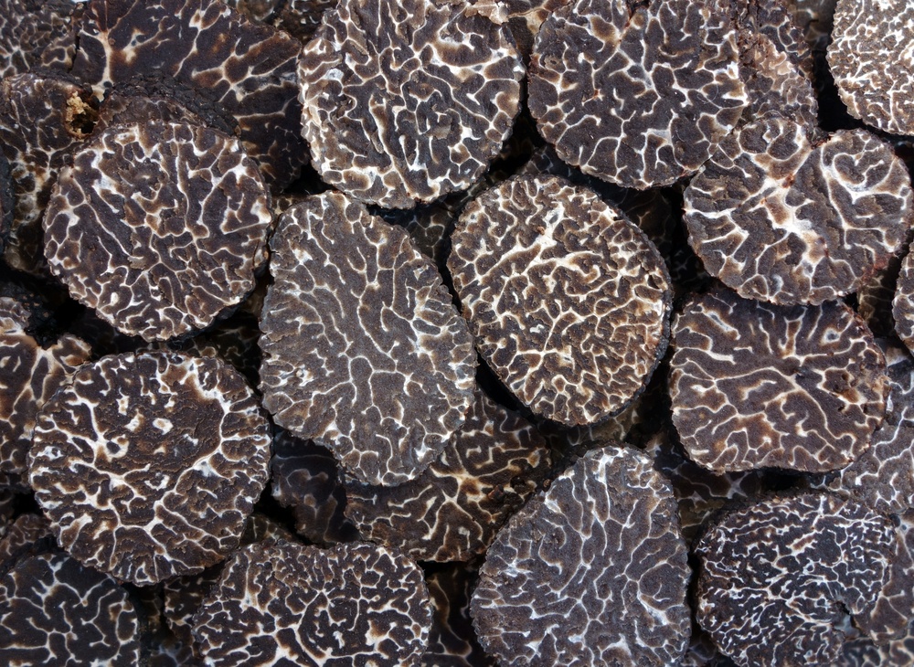 tartufo nero uncinato caratteristiche