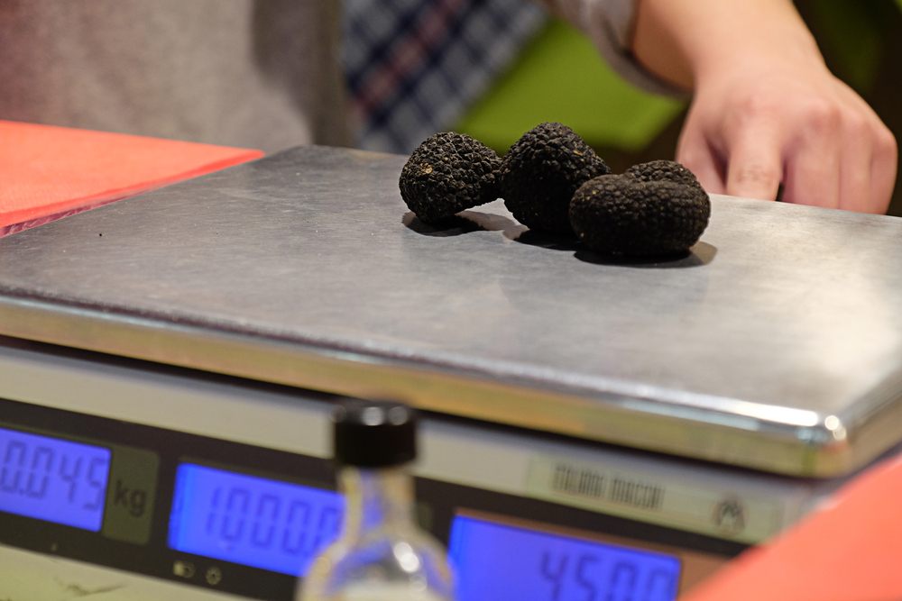 tartufo nero uncinato vendita
