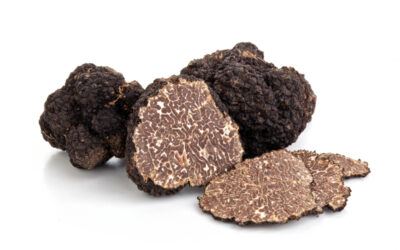 Tartufo Nero Uncinato: caratteristiche, prezzi e consigli per gli acquisti.