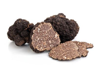 tartufo nero uncinato scorzone invernale
