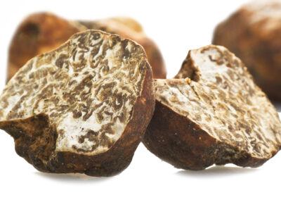 tartufo marzuolo