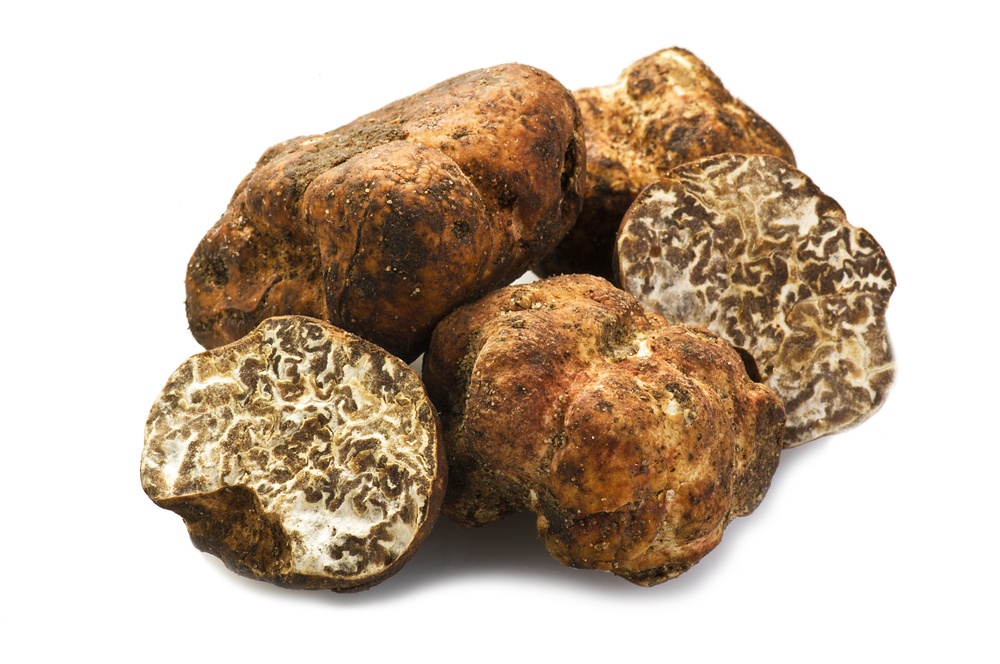 tartufo marzuolo caratteristiche