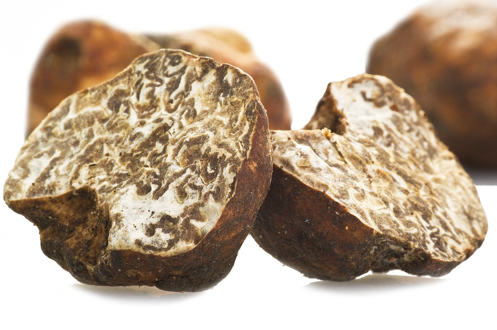 Tartufo Marzuolo o Bianchetto: la miniguida per conoscerlo.