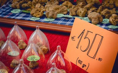 Fiera di Acqualagna 2021: tutto quello che c’è da sapere!
