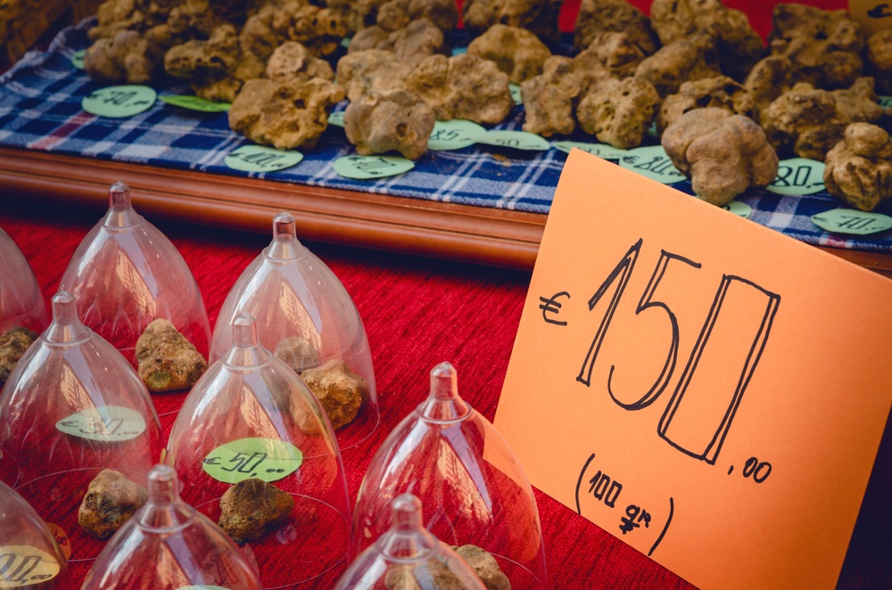 Fiera di Acqualagna 2021: tutto quello che c’è da sapere!