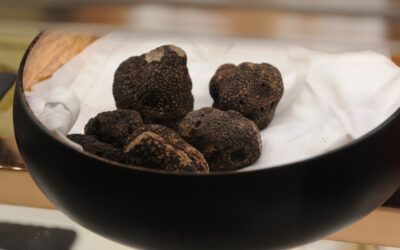 Prezzo Tartufo Nero 2022: tutto quello che c’è da sapere!