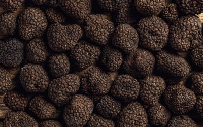 Fiera del Tartufo di Norcia 2022: tutte le informazioni utili