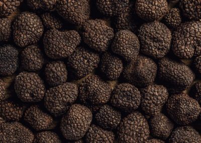 fiera del tartufo nero di norcia 2022 informazioni