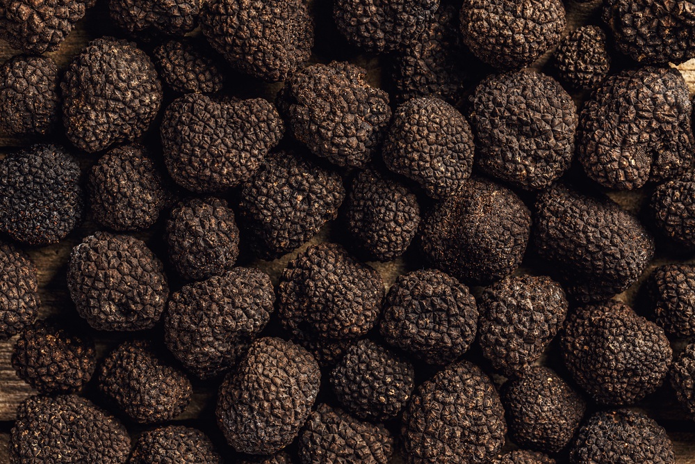 Fiera del Tartufo di Norcia 2022: tutte le informazioni utili