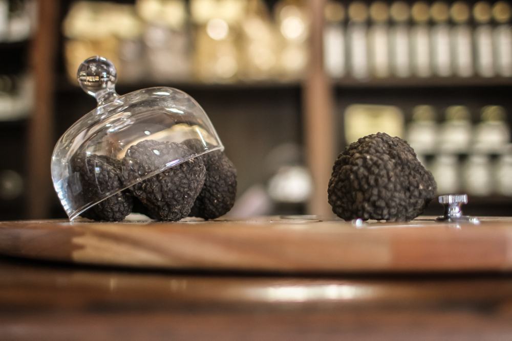 tartufo estivo caratteristiche shop online