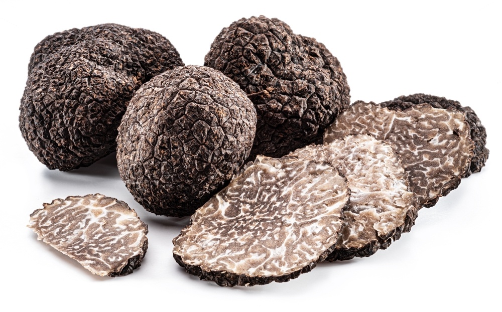 tartufo-estivo-caratteristiche